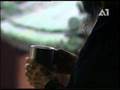 Kung Fu Dragons of Wudang - Masters