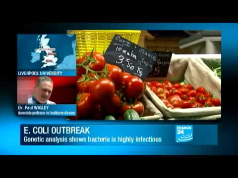 how to isolate e coli from water