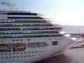 Cruise Ship Horn Battle