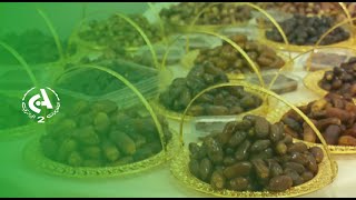 Agriculture biologique : de plus en plus de producteurs se tournent vers la filière phœnicicole