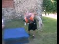 The Devastating Alienator new move by Legend