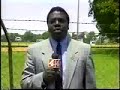 News-Reporter-swallo