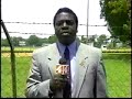 News-Reporter-swallo