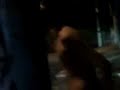 Acacio Pelad�o