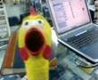 CHIKEN