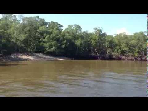 Boat ride in the Everglades National Park in Florida