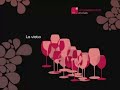 Fase Visual 2 - Curso de Cata Vinoselección