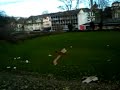 Cardboard airplane launch