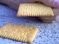 Gorni und die Gechichte vom Keks un vom kleinen Keks