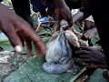 ghana-goats.html