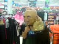 De halloween en wal-mart De halloween en wal-mart