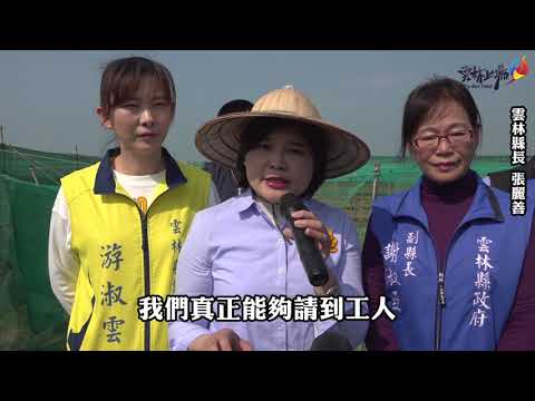 新冠肺炎影響需求 張縣長現勘關心蔬菜產銷