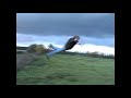 Wilscher Kitemovie