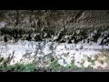 Traders Cave, Niah National Park - YouTube