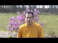 Easter Message from Pastor Jose