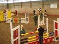 Haflingern Goliath Flyinge 9/12 06