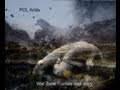 Pol Arida War Zone (Urban Love Story) Official Music Video and Lyrics