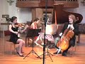 Animato Trio playing Cafe Music by Paul Schoenfield