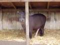 Ich im Zoo