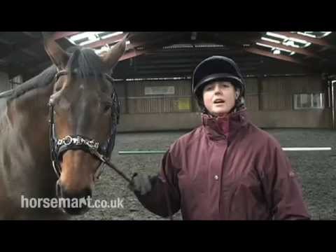 how to fit side reins for lunging