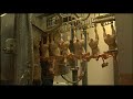 trois soci�t�s dans le monde produisent l'essentiel du poulet que nous mangeons r�ti, ce sont des poulets hybrides �lev�s en 8 semaines en engraissant au maximum et tout cela pour d�gager une marge de maximum 20 centimes d'euros par t�te.. ils sont tu�s dans des usines-abattoirs qui peuvent d�biter jusqu'� 50 000 poulets par jour. ces poulets sont nourris en partie avec le soja br�silien, pays qui connait encore une tr�s forte malnutrition notamment dans le nord.

http://www.editionsmontparnasse.fr/titres/we-feed-the-world-le-marche-de-la-faim