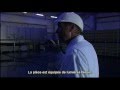 We feed the World - Les poulets
