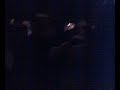 RQM 354 + Beat Boss - FINAL (bis) [Live at Irish Rover]
