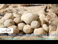 Karak movie in arabic - YouTube