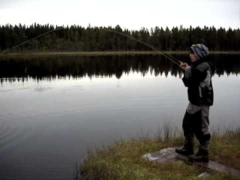 Se filmklipp!