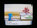 ??? vs ??? (1/2) - Pokemon DP Wi-Fi battle movie ??? vs ??? (1/2) - Pokemon DP Wi-Fi battle movie