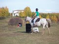 I have only been riding for 5 months now, and was thrown off my horse when i first tried to lope.  So i had an instructor come out to help me repair my lost confidence and to coach me on how to lope.