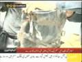 Lahore police arrested 11Taliban Suicide Bombers