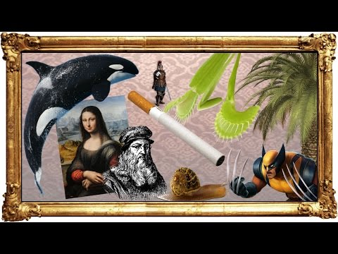 Facts - This video covers ten unique facts that are my attempt to go over facts no one on YouTube has covered yet. No common are easy finds are allowed. I try to take all the fun info I can fit into...