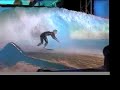 flowrider wave tour
