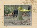 Politiehond: schieten stopt de hond niet