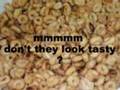 Fried Cheerios