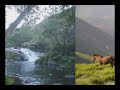 galiza calidade