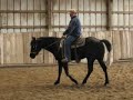 Moons Training Video Clips Moons Training Video Clips