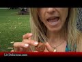 See Video
