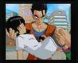 Budokai 3 Ultimates. Heroes