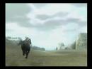 The way to the Colossus :: VI :: Barba