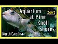 Aquarium At Pine Knoll Shores North Carolina