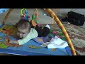 Linus Rolls Over