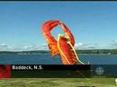 Bell Cygnet Kite Centennial CBC Ottawa News 6pm