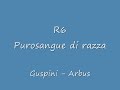 Guspini - Arbus con la Yamaha R6