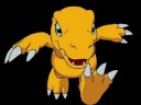 digimon