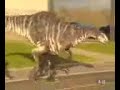 this is a real dino! waaah! ai-ya!!!