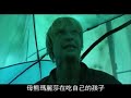 grizzly man grizzly man