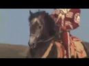 Horsefly Films Oroz Caballos