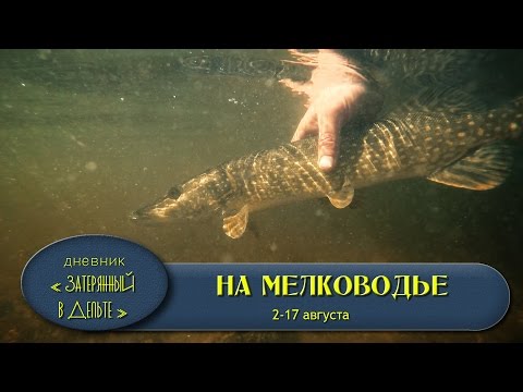 рыбалка в астрахани на волге база форафиш рыбалка в астрахани на волге база форафиш